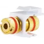 Keystone Module ShiverPeaks 08-10063 Flat Gold Red White Banana