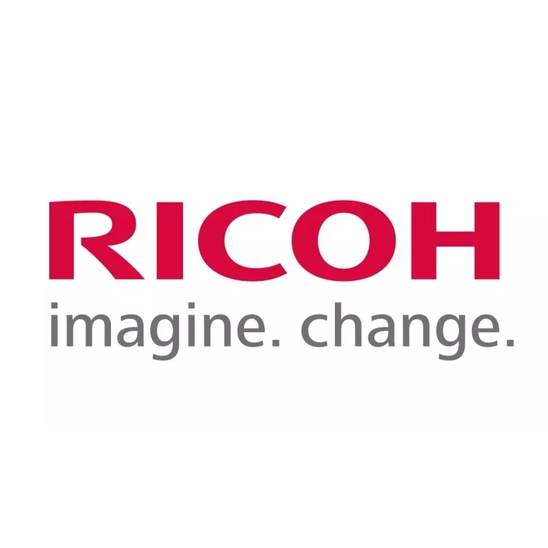 Ricoh D179-9640 (D1799640) Developer, Black