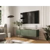 Cama RTV 3D TRESSE cabinet 150x40x55 matte green