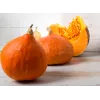 Uchiki Kuri Pumpkin Toraf Vegetable Seeds, 5g Pack