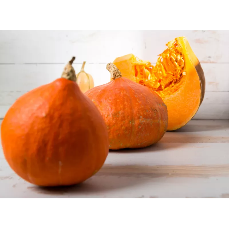 Uchiki Kuri Pumpkin Toraf Vegetable Seeds, 5g Pack