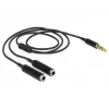 Audio Cable DeLOCK 65575 0.25m 3.5mm 2 x 3.5mm Black