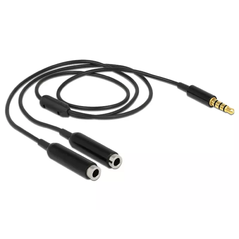 Audio Cable DeLOCK 65575 0.25m 3.5mm 2 x 3.5mm Black