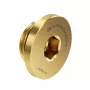 Barrow Verschlussstopfen G1/4 AG - gold (FBTBLDS go)