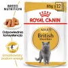 Wet Cat Food Royal Canin British Shorthair Adult sachet 85 g, poultry, ROYAL CANIN Feline Breed Nutrition