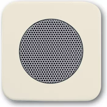 Busch-Jaeger 2CKA008200A0076 Interkom-System-Accessory Aufspannplatte (2CKA008200A0076)