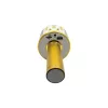 Microphone Denver KMS-20GMK2 Gold