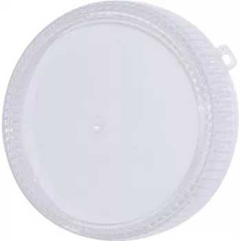 Replacement Color Cap for EUROLITE Techno Strobe 94202020 — 205 mm clear
