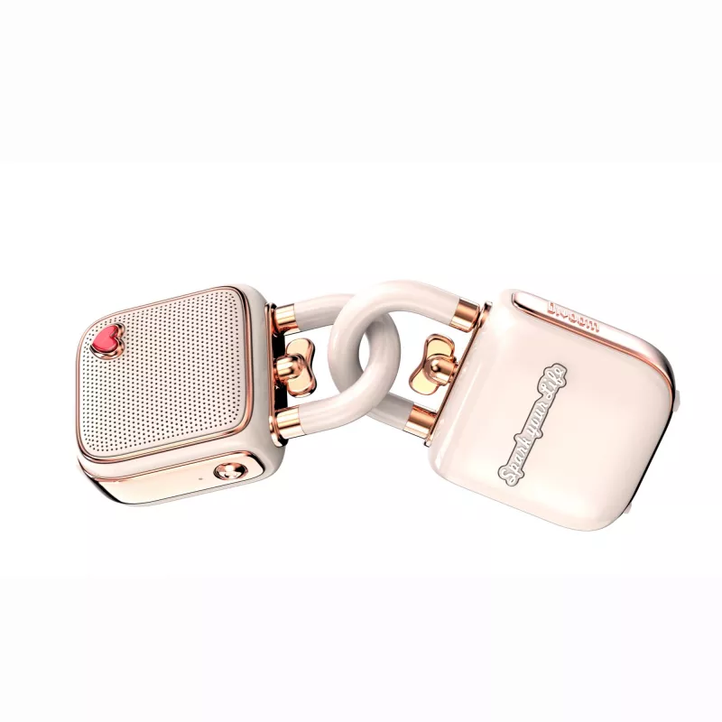 Mono Portable Speaker Divoom LoveLock Pink