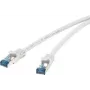Network cable Renkforce RJ45 CAT 6a S/FTP 0.25 m Grey
