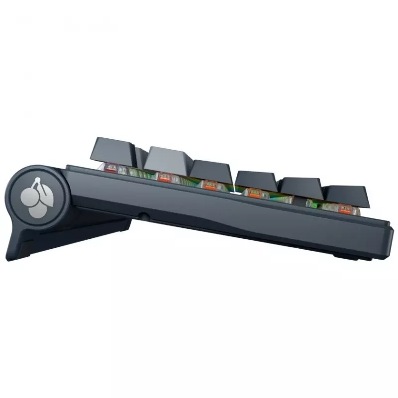 Mechanical Keyboard Cherry MX 8.3 Wireless RGB Red Switch DE layout