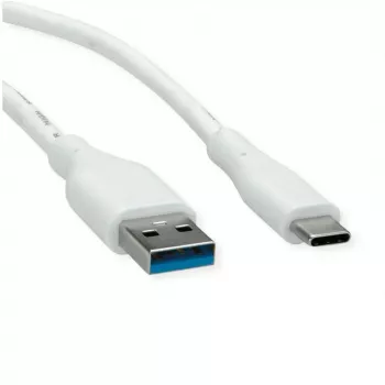 ROTRONIC-SECOMP VALUE - USB Cable - USB Type A (M) to USB-C (M)