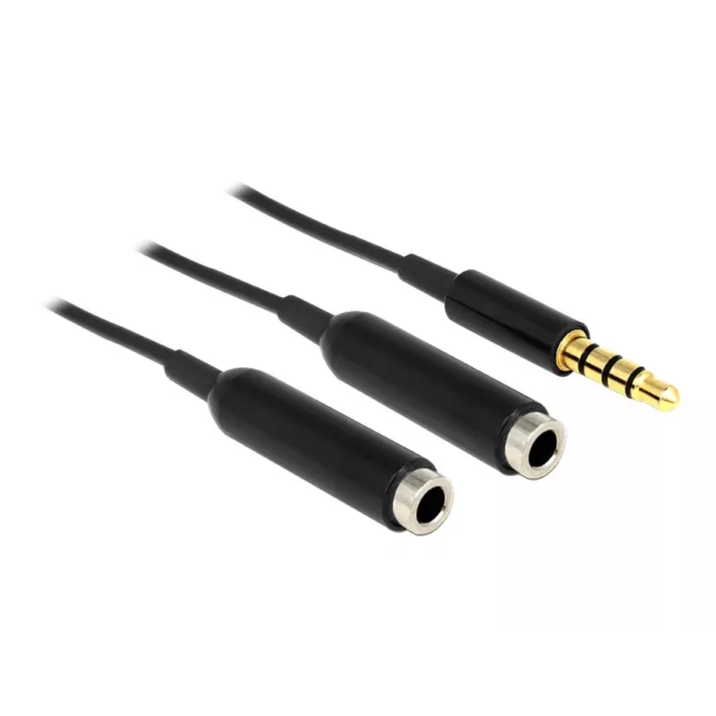 Audio Cable DeLOCK 65575 0.25m 3.5mm 2 x 3.5mm Black
