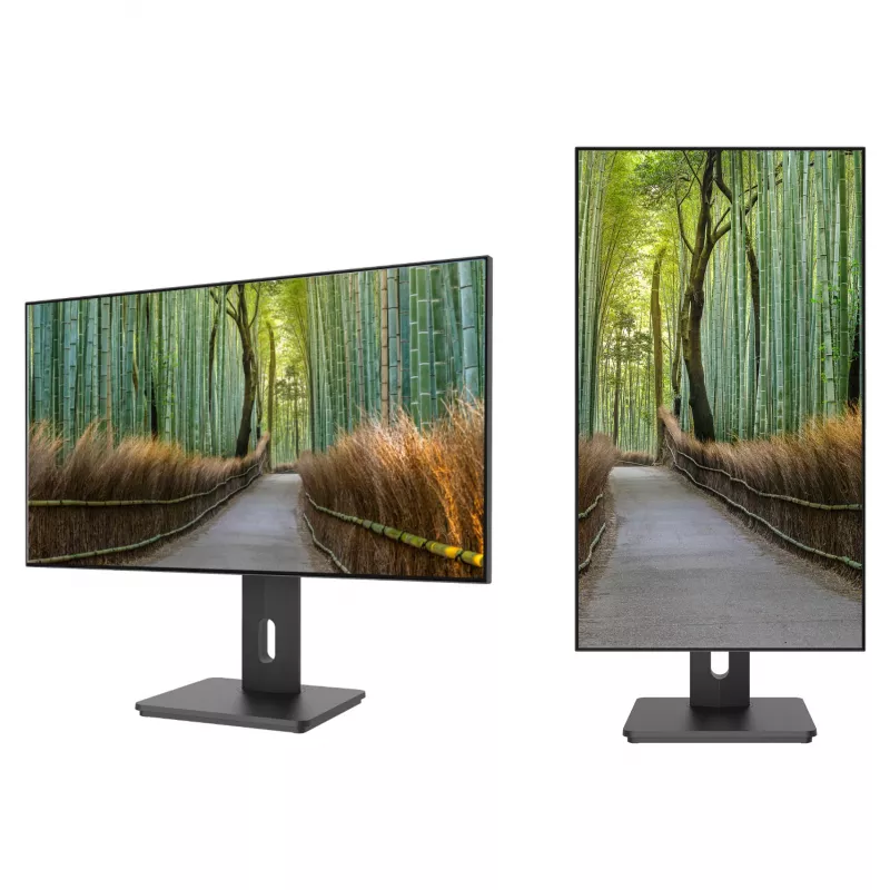 JAPANNEXT JN-27IPS4FLWQHDR-HSP 16 9 HDMI/DP WQHD - Flat Screen (TFT/LCD)