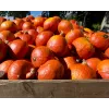 Uchiki Kuri Pumpkin Toraf Vegetable Seeds, 5g Pack