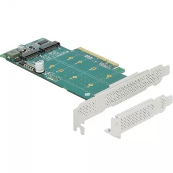 DeLOCK PCI Express x8 Card to 2 x internal NVMe M.2 Key M Bifurcation Low Profile Form Factor