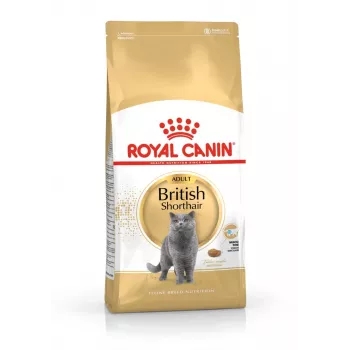 Royal Canin British Shorthair Adult cats dry food 4 kg