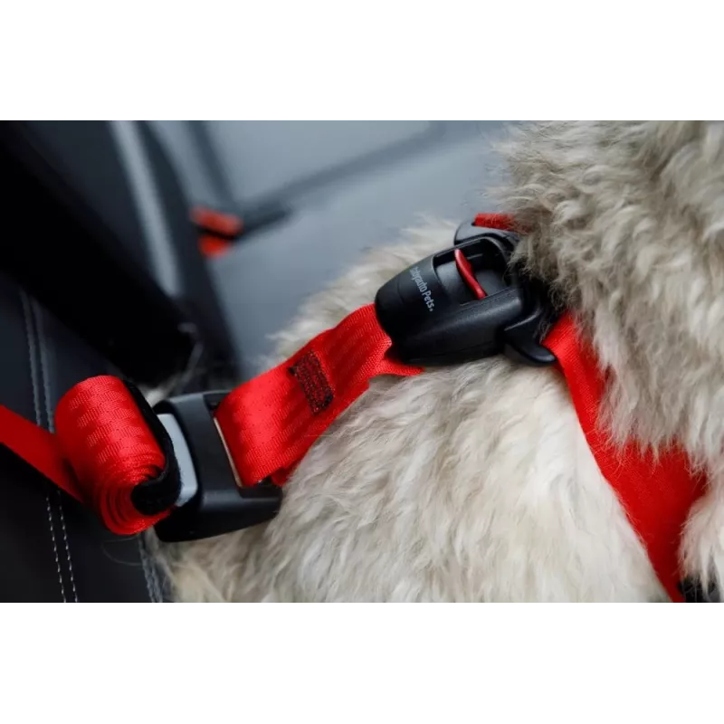 Dog harness ZOLUX TRAVEL SAFE S — size S, black