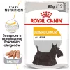 Royal Canin CCN Dermacomfort Loaf wet dog food, 12 x 85 g