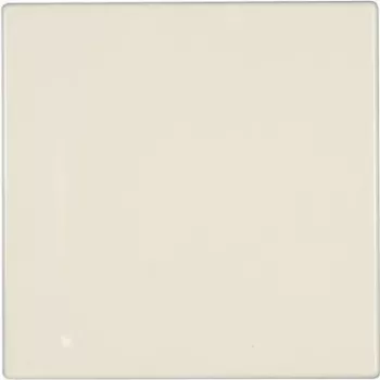 Jung Cover Plate Blindabdeckung LS 990, LS design, LS plus Creme-White LS 994 B (LS 994 B)