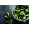 New Zealand Spinach Toraf Vegetable Seeds, 5g Package