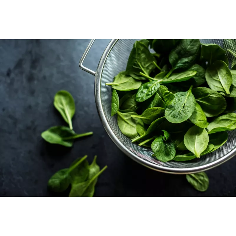 New Zealand Spinach Toraf Vegetable Seeds, 5g Package