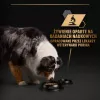 PURINA Pro Plan Everyday nutrition All size Adult Turkey in jelly - wet dog food - 400g