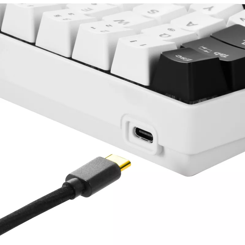 Sharkoon SGK50 S4 Keyboard Gaming USB QWERTZ German White RGB LED