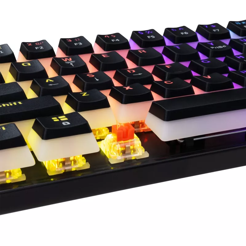 Gaming keyboard White Shark GK-2202 Ashiko 2 Black/Red US layout