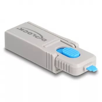 Port lock DeLOCK 20969 DisplayPort HDMI USB Type-A USB Type-C Grey