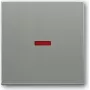Busch Jaeger 1751-0-3013 Light Switch Grey Plastic (1751-0-3013)