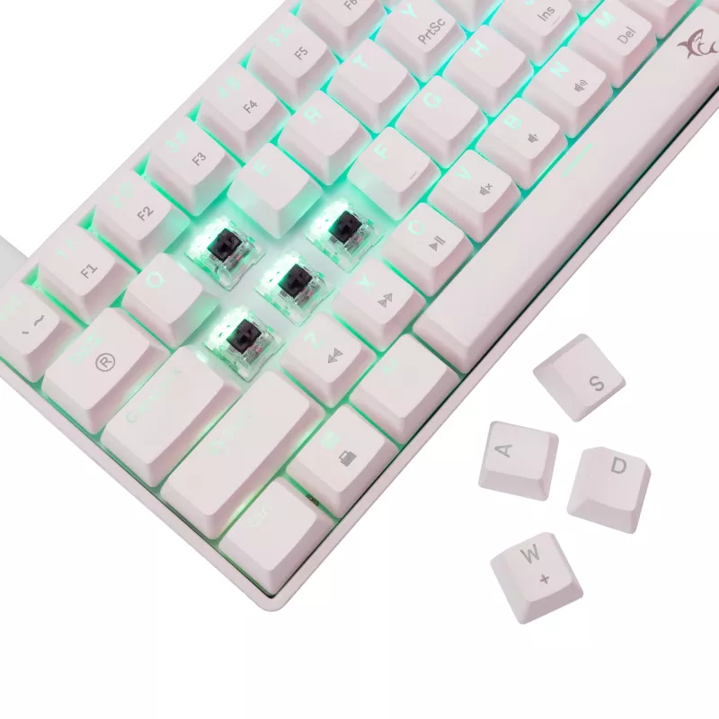 Mechanical keyboard White Shark Shinobi-2 Brown Switch US layout — compact design, Brown switches