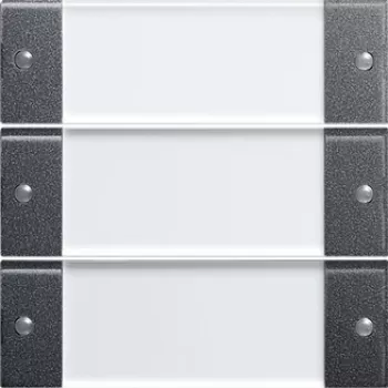 GIRA 213328 Light Switch Anthracite - Transparent (213328)