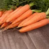 Seed tape Apte Marchew LENKA 6 m — carrot seed strip for sowing