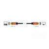 HDMI cable DeLOCK 85729 2 m HDMI Type A Standard Black Gold