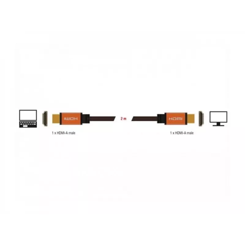 HDMI cable DeLOCK 85729 2 m HDMI Type A Standard Black Gold
