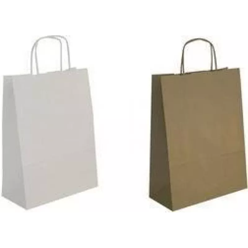 Gift bag agipa 101645 240×310 mm brown kraft paper with carry cord