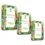 Toraf Seed Set - Set 5X3 2024 Toraf 36X1PCS