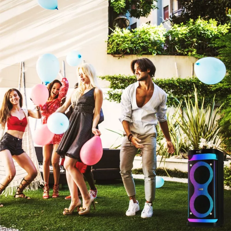Portable speaker MANTA SPK0601B100, 100 W, Bluetooth, karaoke, wireless microphone, battery, equalizer, disco lighting
