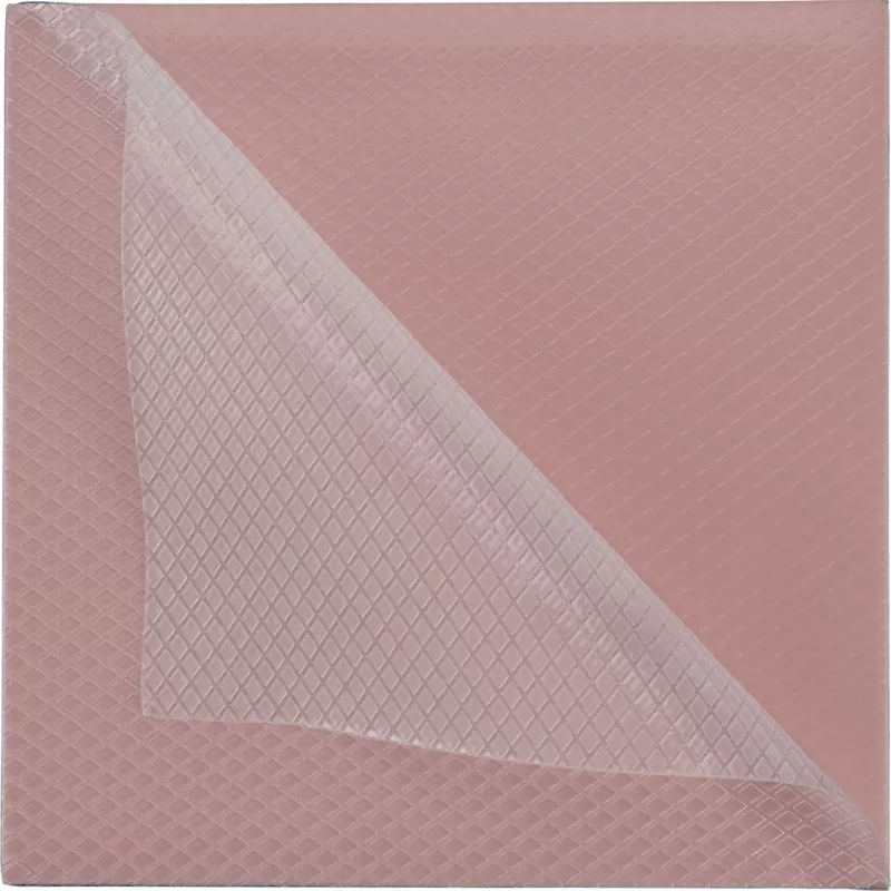 Thermal Grizzly Minus Pad 8 - 100 x 100 x 1.0 mm, 2 pieces