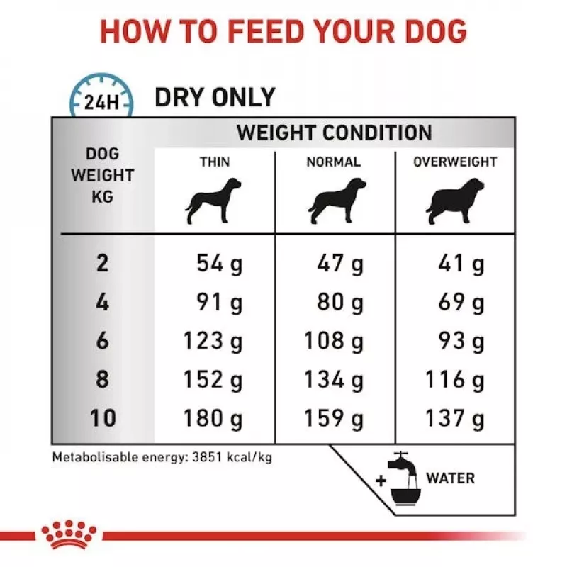 Dry dog food Royal Canin Anallergenic Small 1.5 kg — hypoallergenic adult formula for small breeds