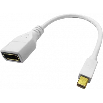 ROLINE - DisplayPort-Adapter - Mini DisplayPort (M) to DisplayPort (W) - Black (12.03.3163)