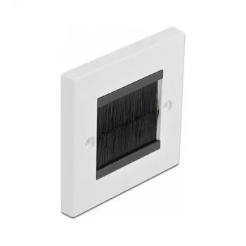 Wall plate DeLOCK 66491 White