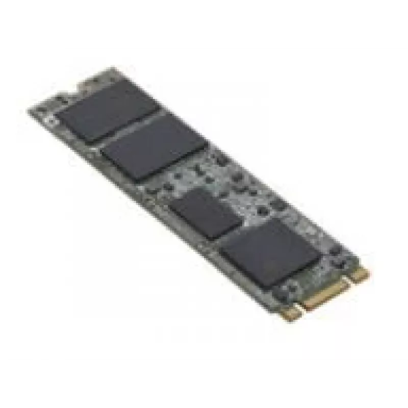 Fujitsu S26361-F5816-L240 internal solid state drive 240 GB M.2 Serial ATA III