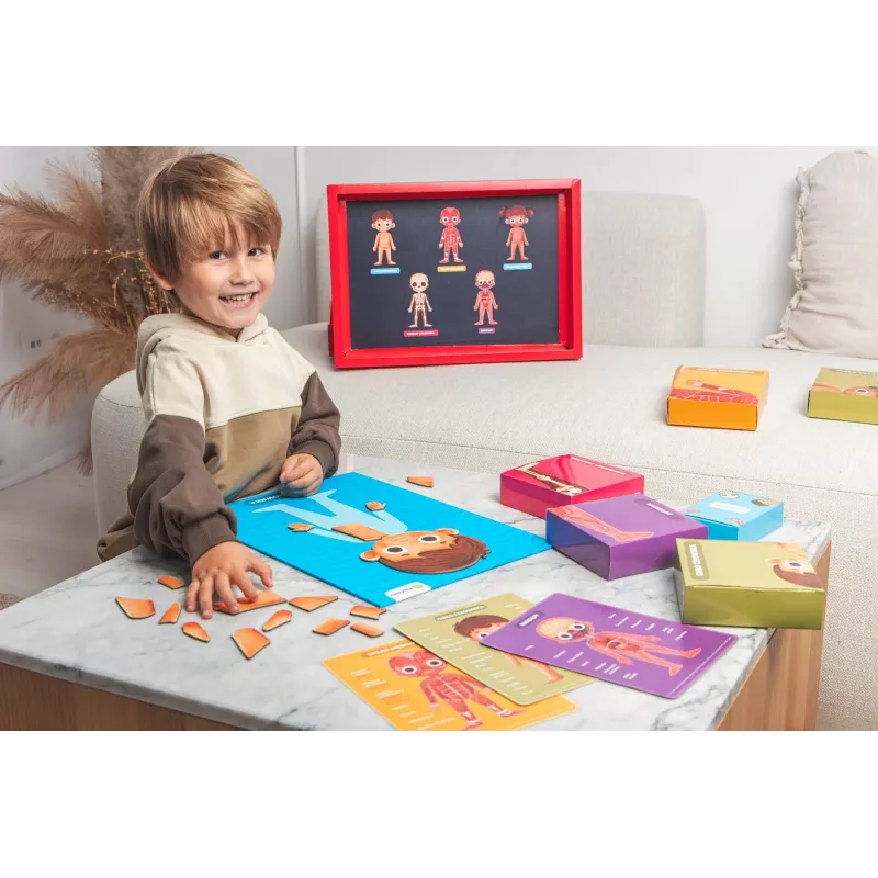 Educational toy set Dante My Super Human Body — interactive learning kit for anatomy