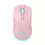 Mouse Baracuda BGM-124 Turtle Pink TURTLE-P