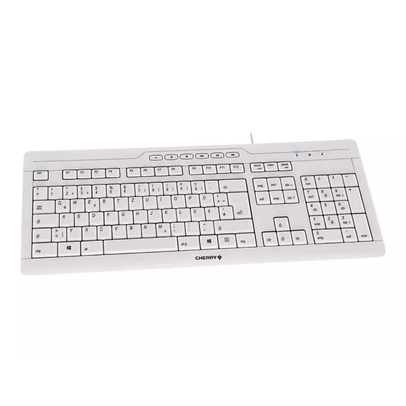 CHERRY STREAM 3.0 keyboard Office USB Swiss Grey