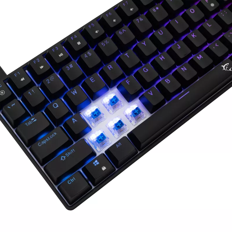 Mechanical keyboard White Shark GK-005121 with RGB lighting and Blue switches