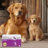 Softgel capsules JM Sante Multiway Vet Duocaps Osteo — joint support for adult dogs and cats, 150 g package