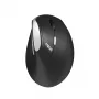 Rapoo EV250 Mouse Office Right-hand RF Wireless Optical 1600 DPI